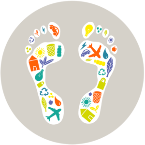 your-sustainable-workplace-carbon-footprint.png