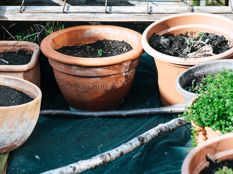 Growing food in small spaces