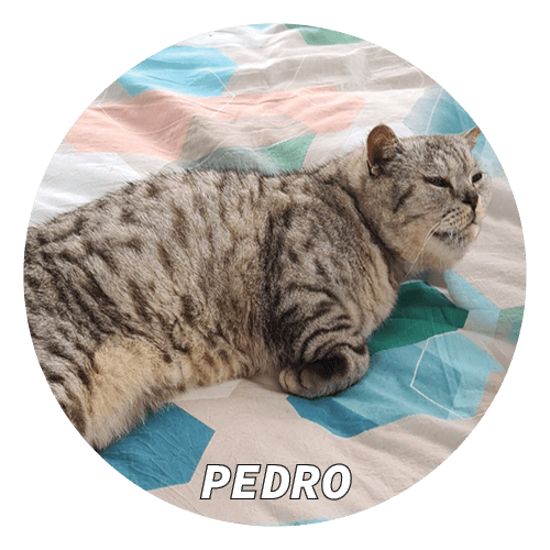 simon & kate animals .png