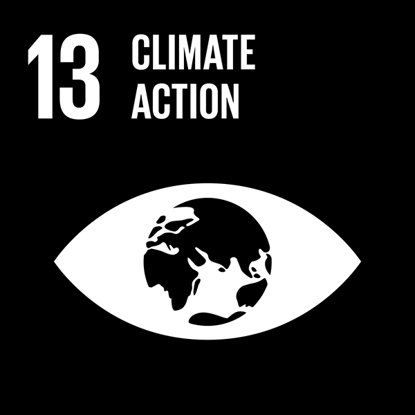 TheGlobalGoals_Icons_Black_Goal_13.png
