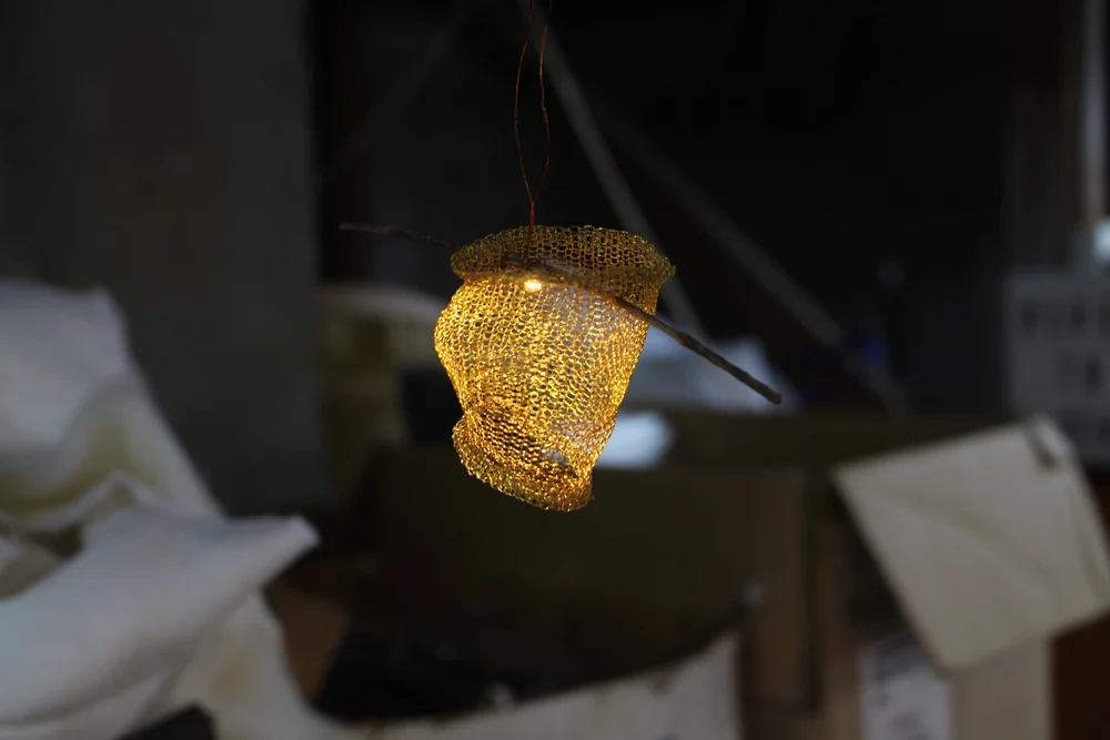 mesh from inside of microwave - blog.jpg