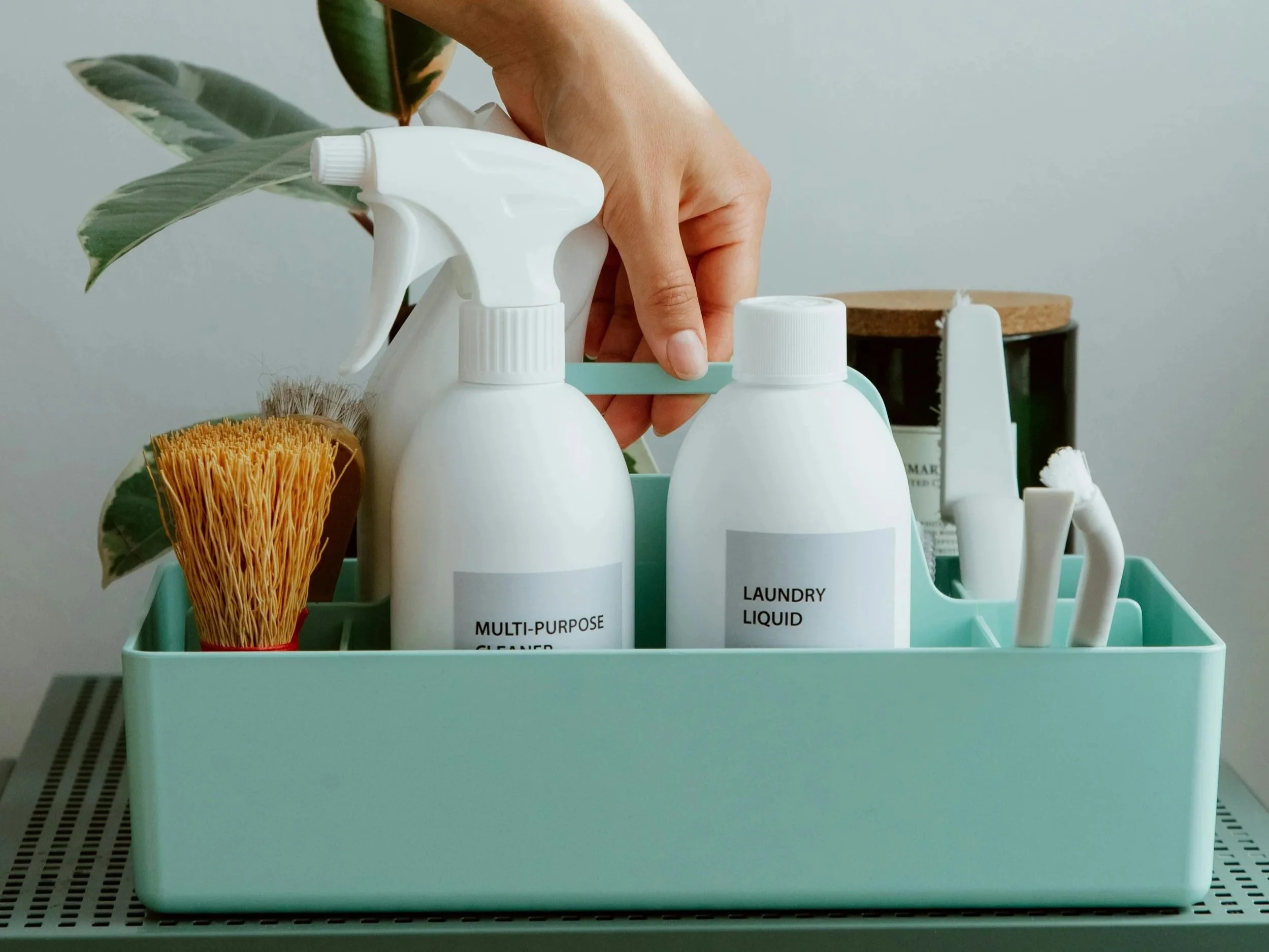 Clean and Care: Green Cleaning Workshop