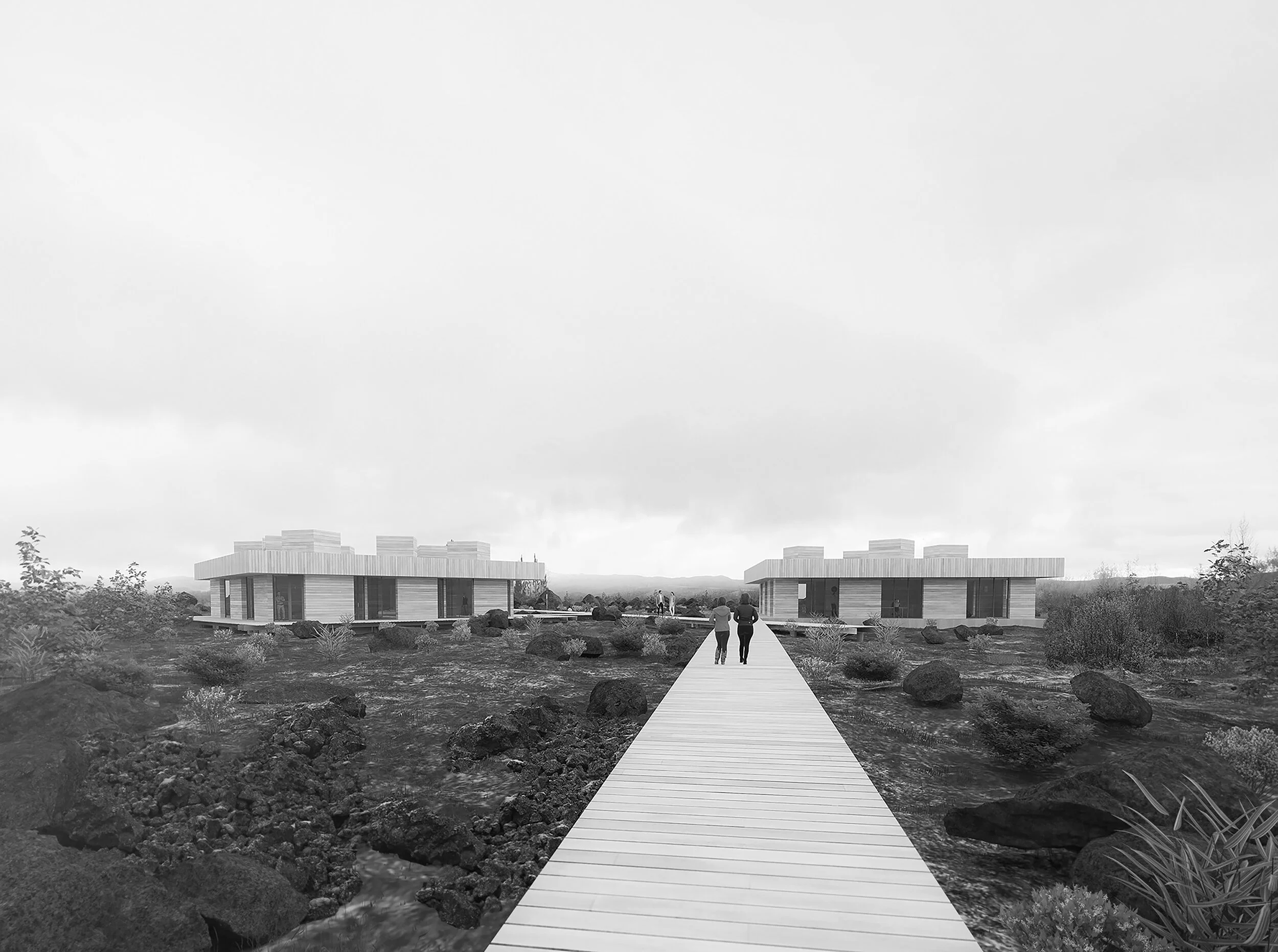 Entry_View-B&W2.jpg