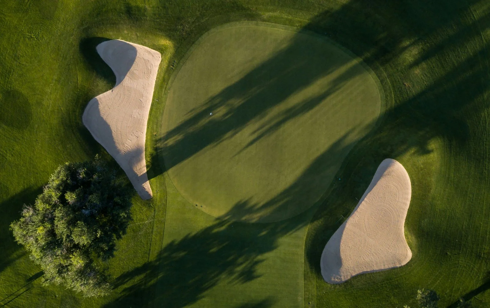 BRANDWORKS_BLG_GOLF_FIELD.jpg