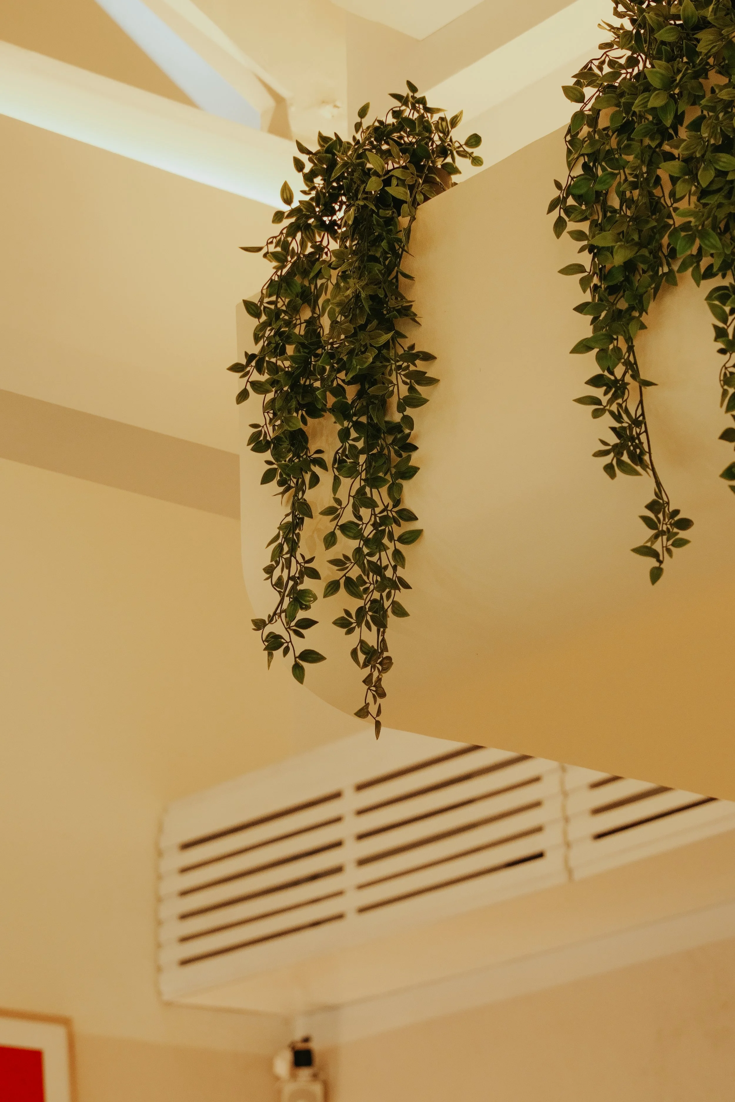 YGD07953.jpg
