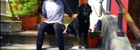 Animated GIF-downsized_large (3).gif