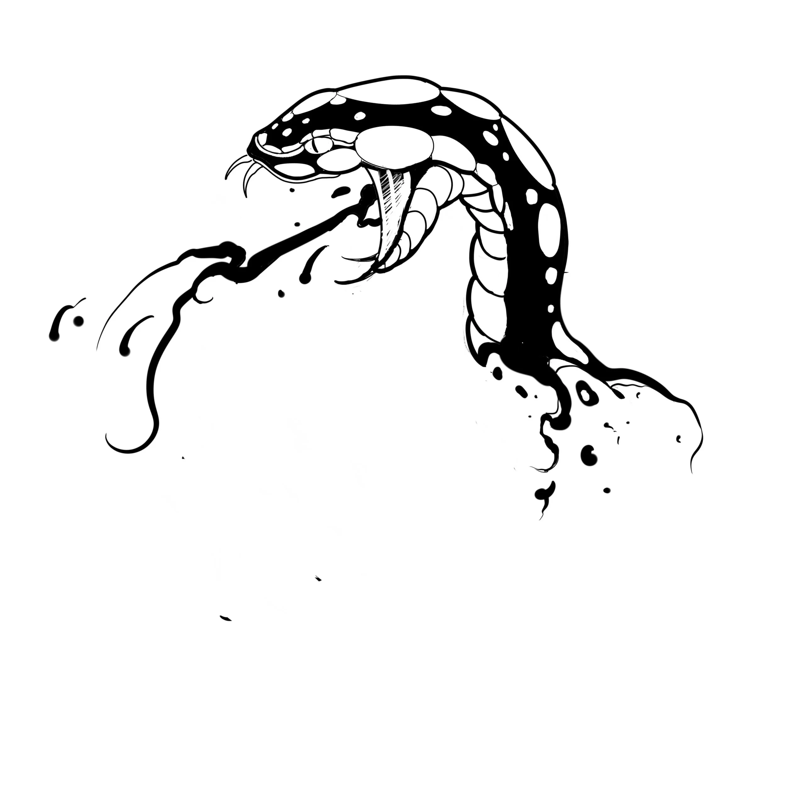 72939711-8265-47DC-8890-1976D1D1E642.jpeg