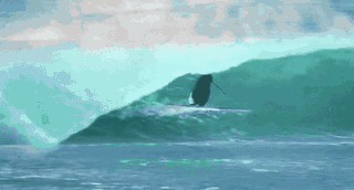 Animated surfing scene