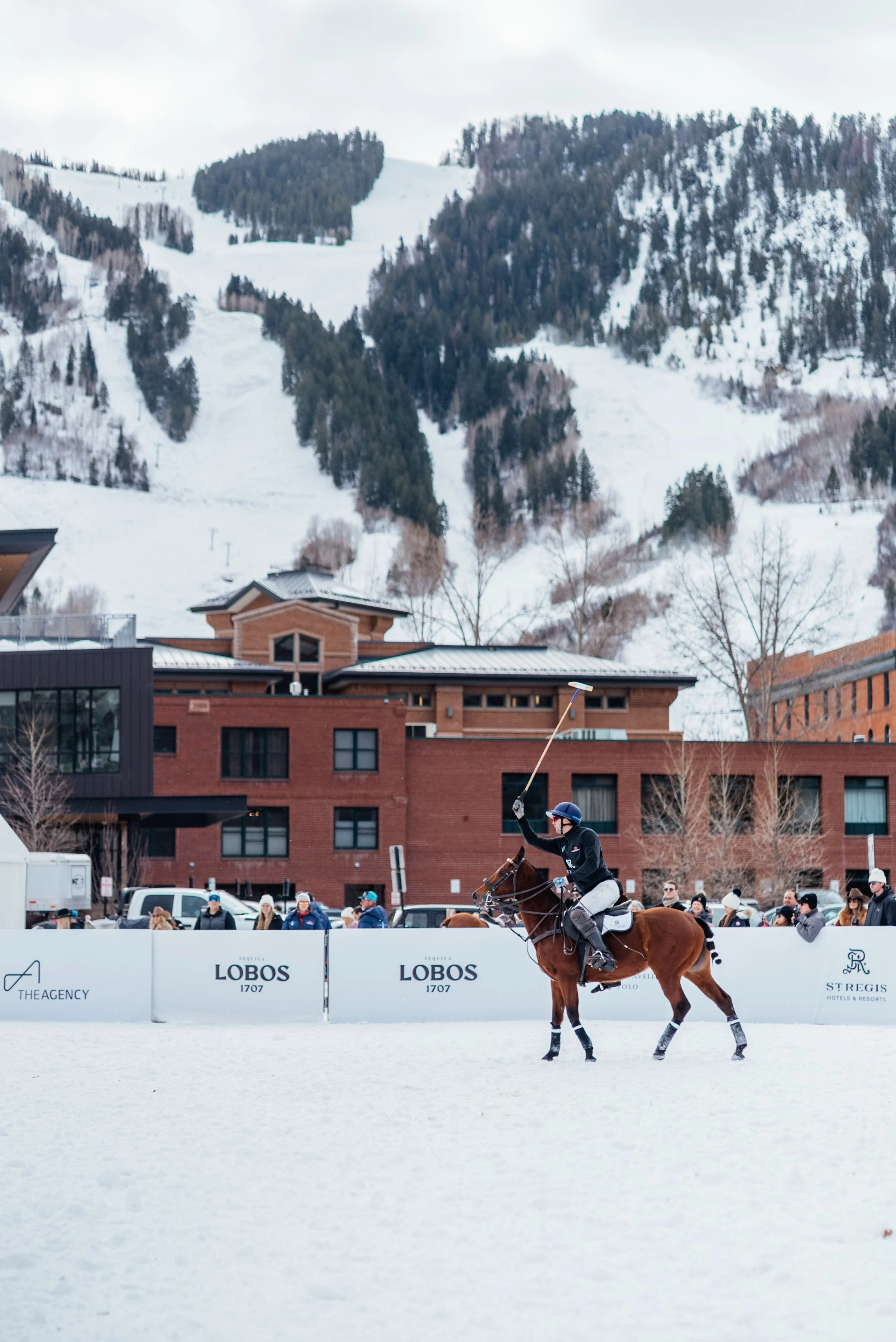 Snow polo in Aspen Colorado