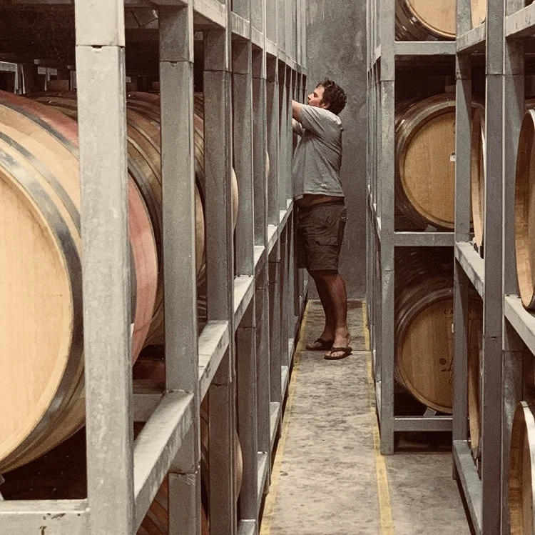 songs from the cellar — SPRING playlist.