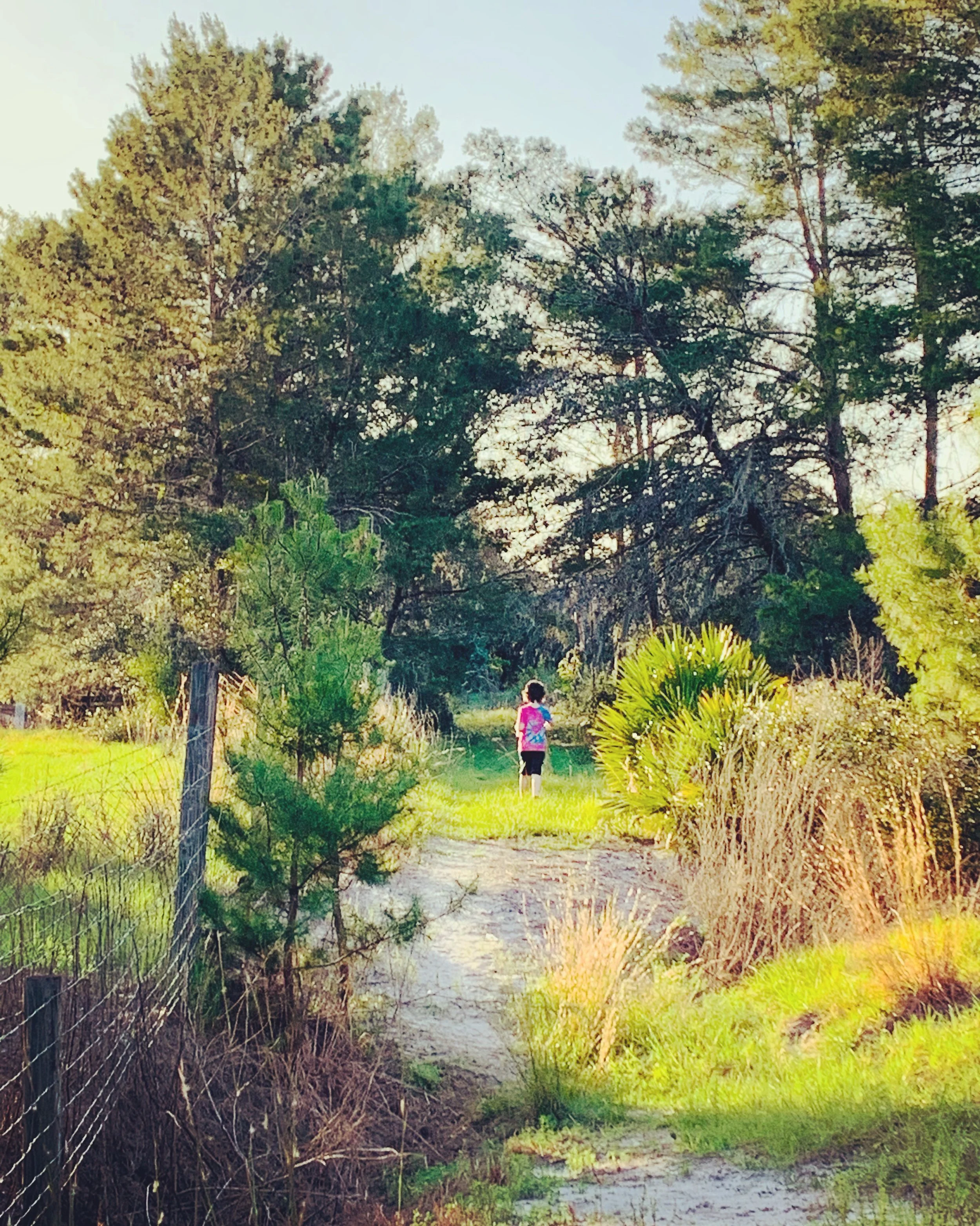 NATURE and MOVING more NATURALLY thru our dances.....