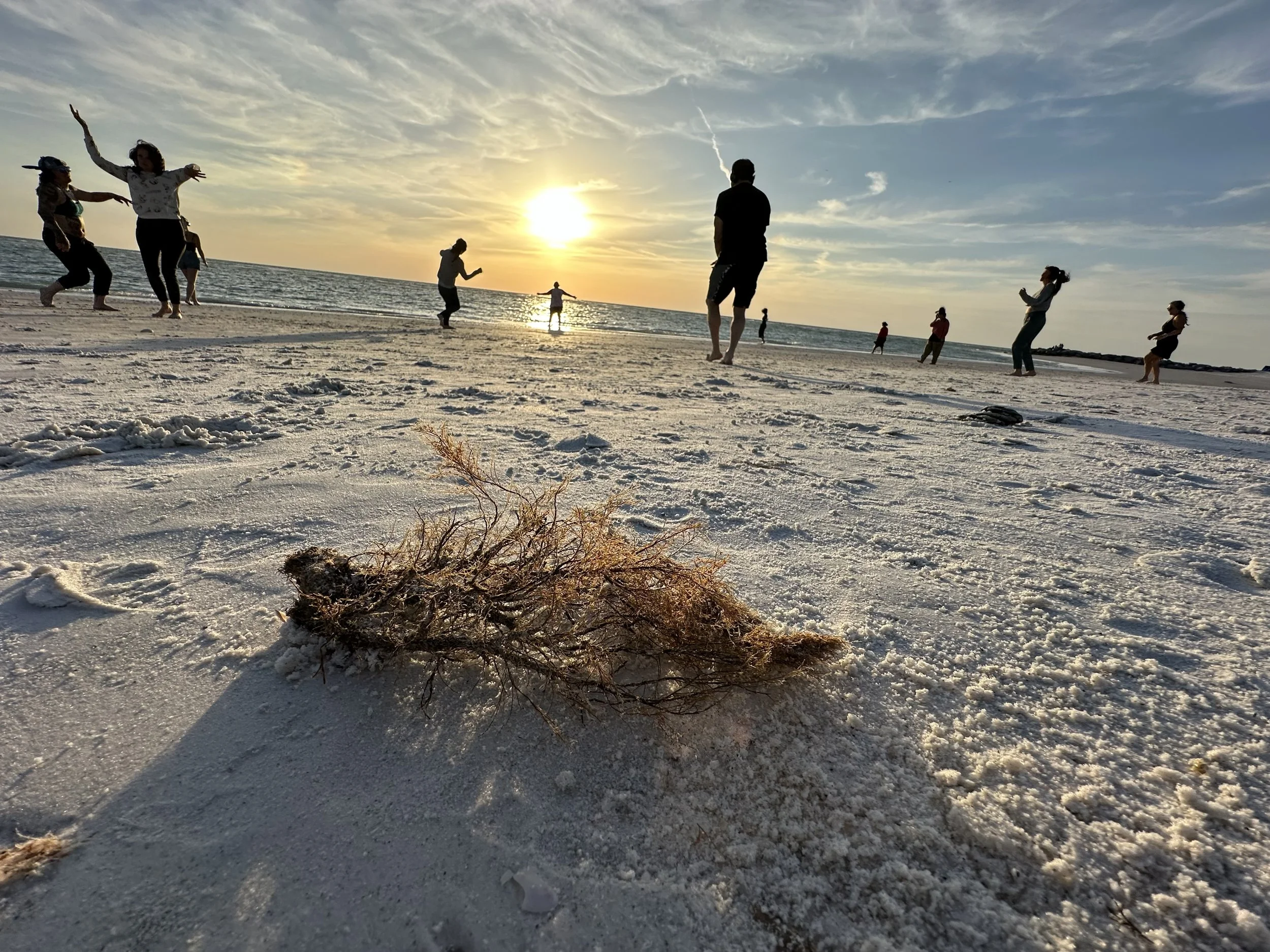 IMG_1032.jpeg