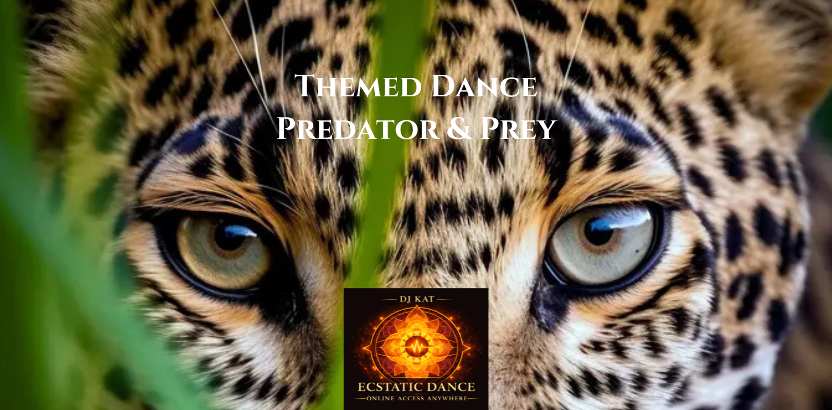Saturday Weekend Ecstatic Dance - Soul Studios &amp; Online Zoom