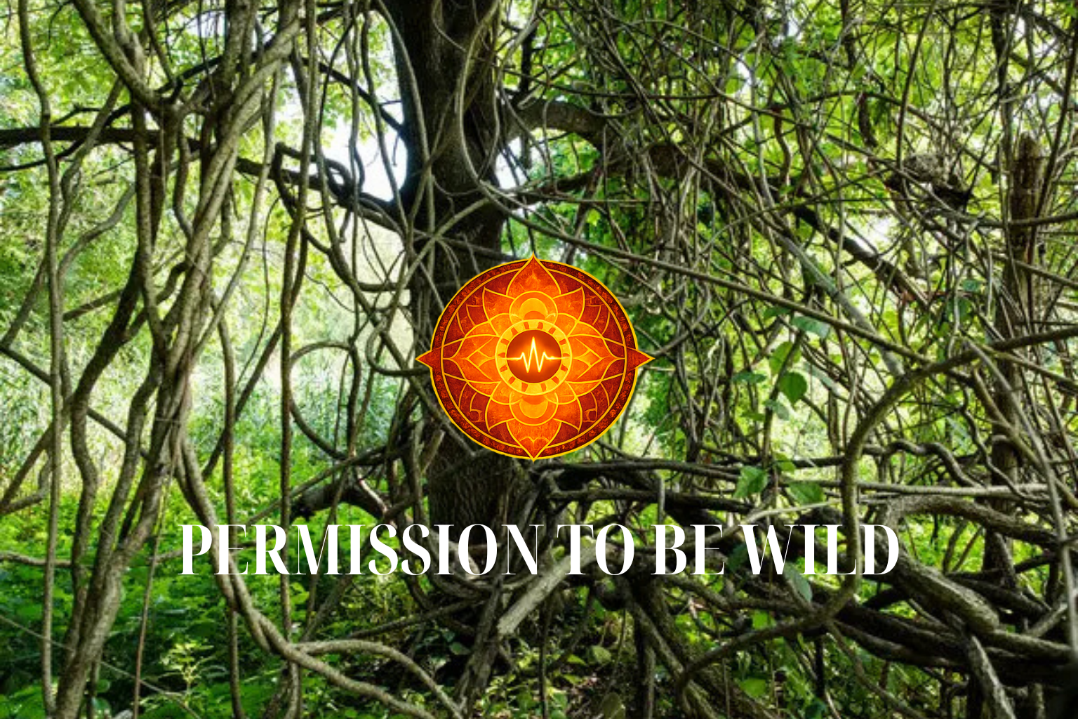 Saturday Weekend Ecstatic Dance - Permission to Be Wild