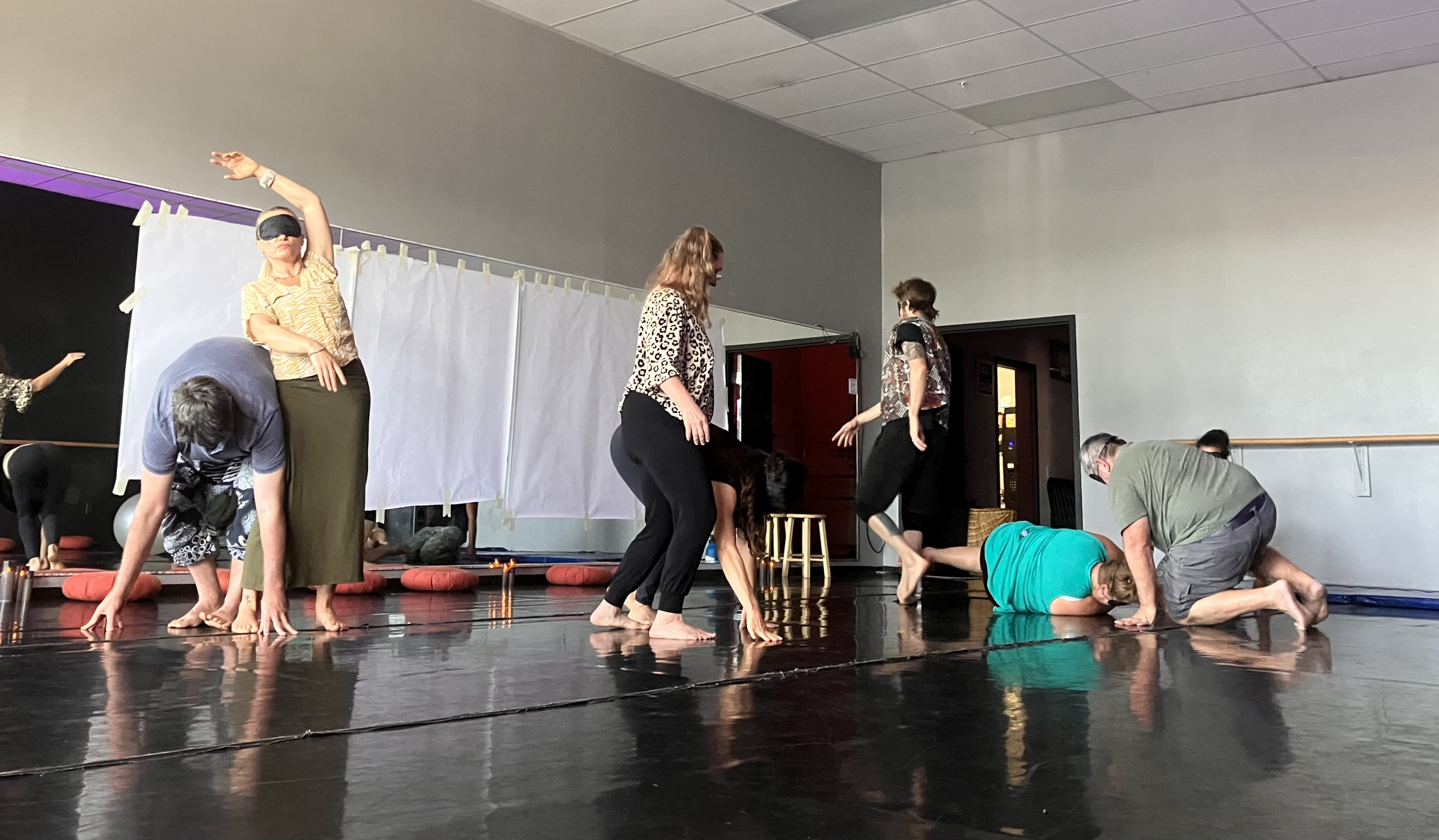 Sarasota Wellness Events for Contact Improv