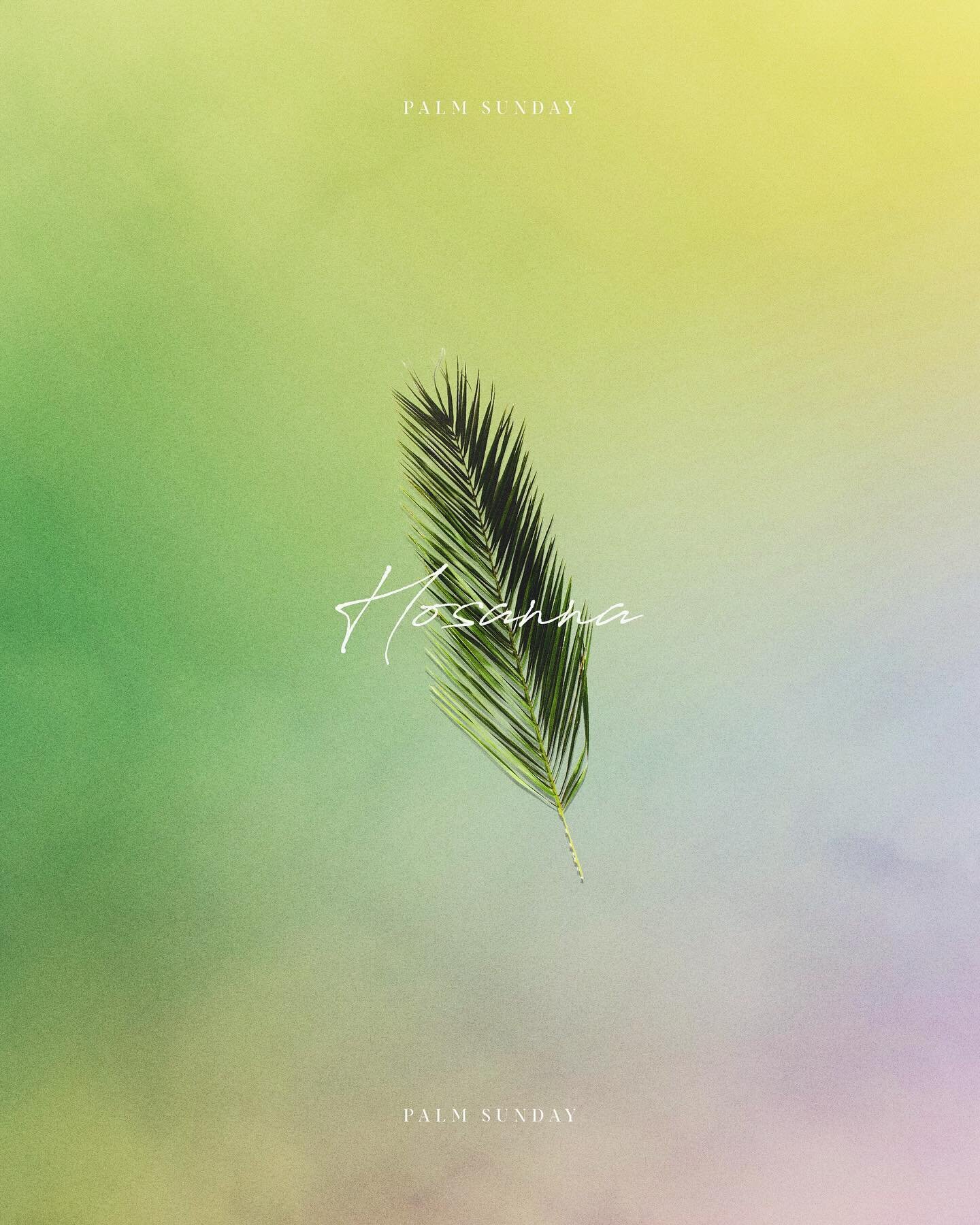 They took palm branches and went out to meet him, shouting, &ldquo;Hosanna!&rdquo; &ldquo;Blessed is he who comes in the name of the Lord!&rdquo; &ldquo;Blessed is the king of Israel!&rdquo; - John 12:13 🙌🏻
&bull;
&bull;
&bull;
#graphicdesign #desi