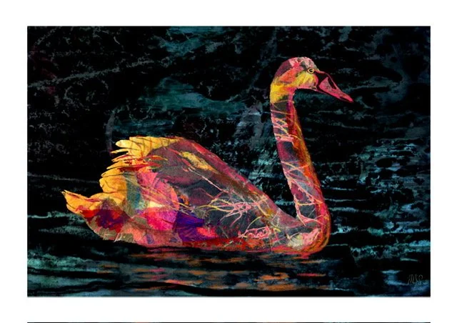 Michae_Smithson_Swans_At_Night_2.jpg
