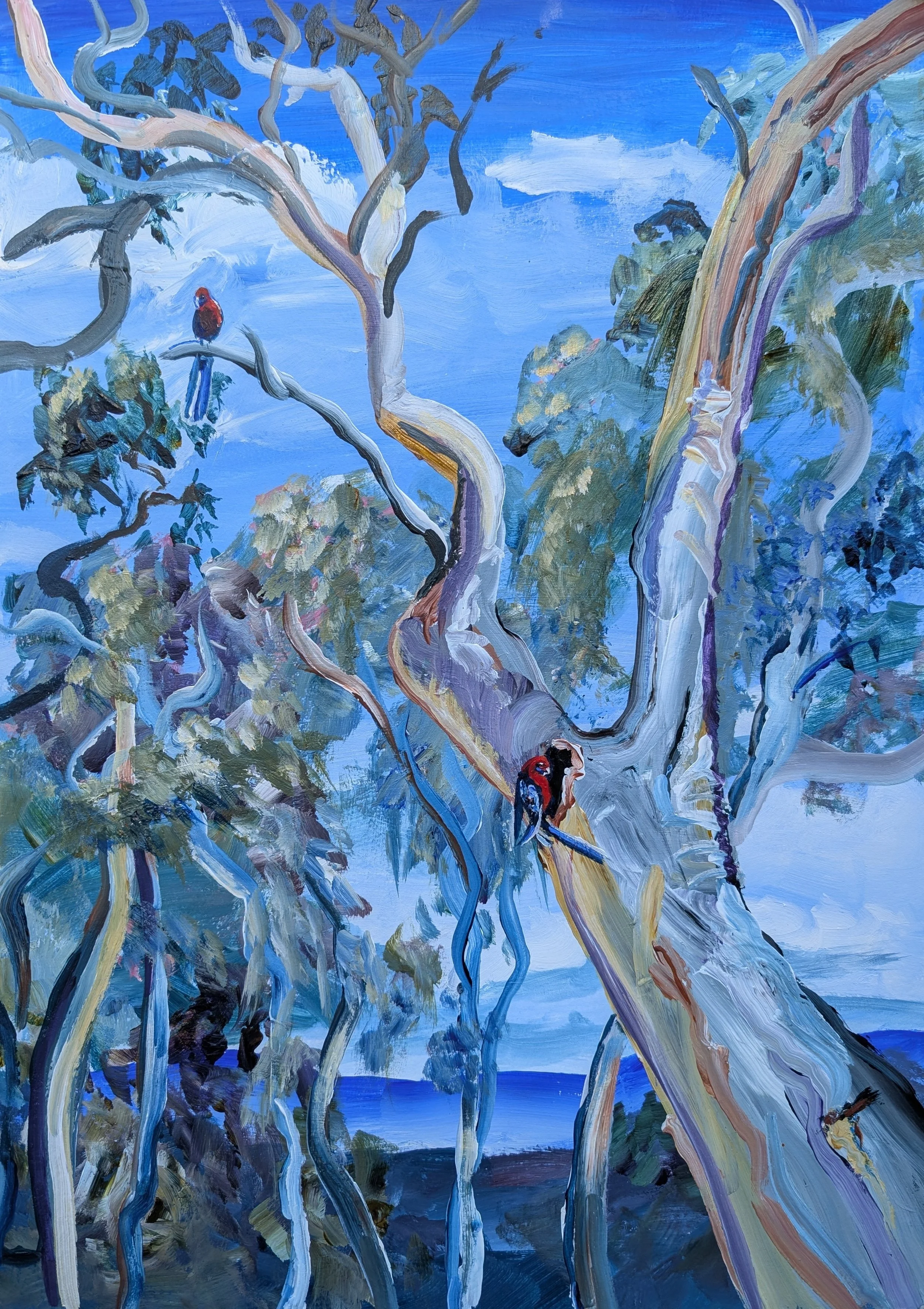 Auction for Rosella's by Sophie ‘Art’ Baker