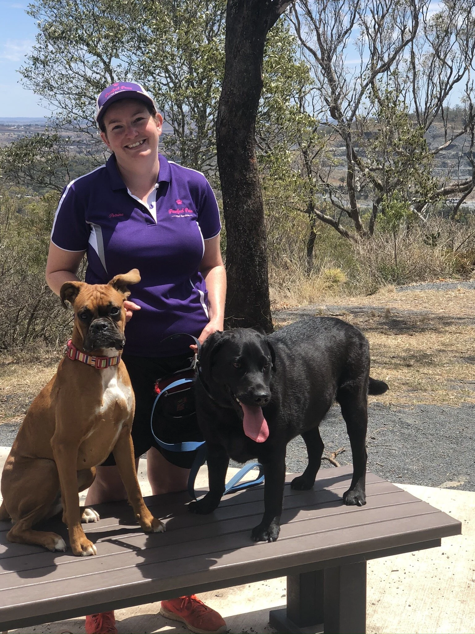 Canine Cruises — PAWFECT PAWS