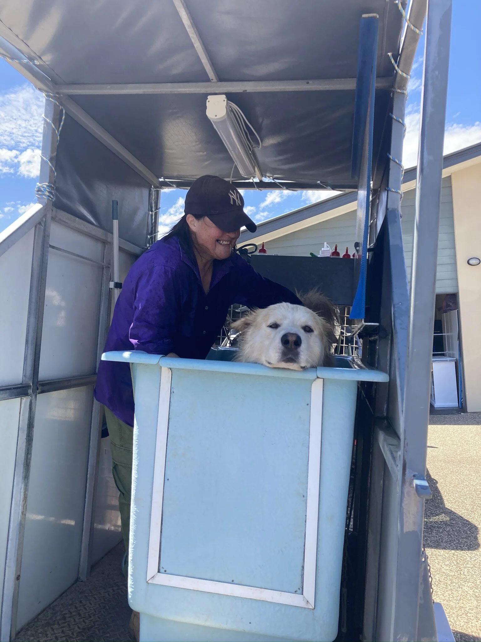 Bath Mobile — PAWFECT PAWS
