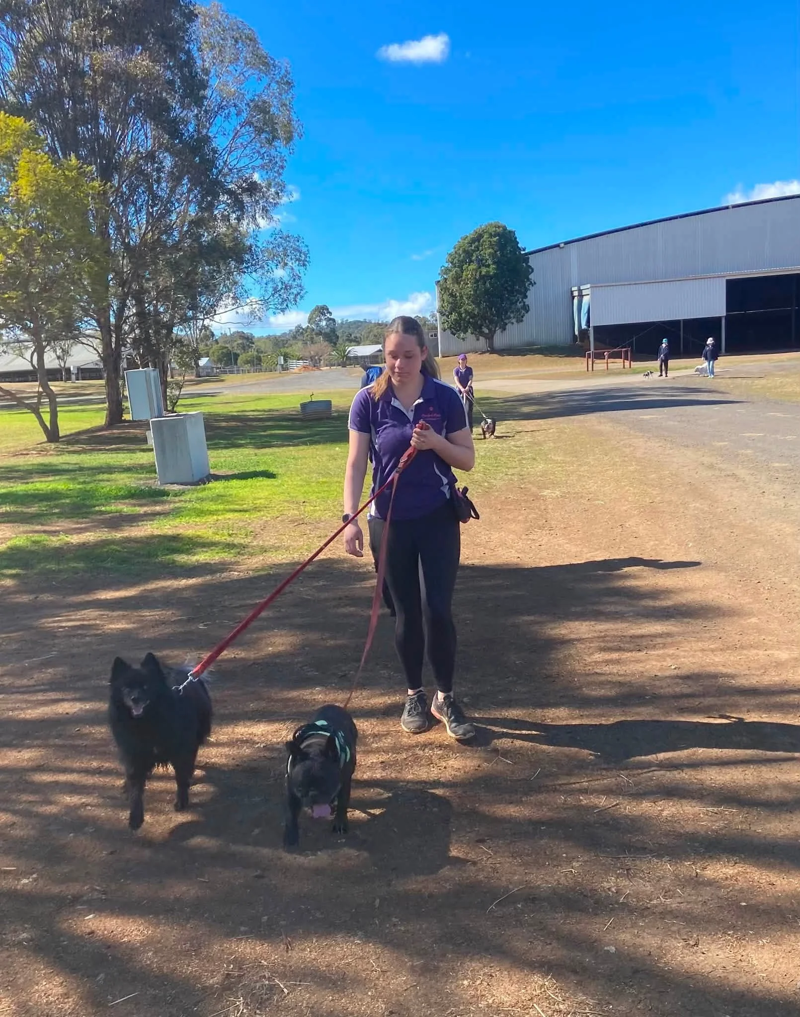 mini1.jpg