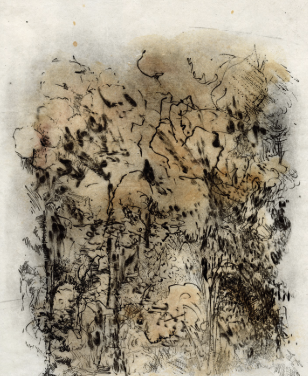 Diálogos del tiempo #32