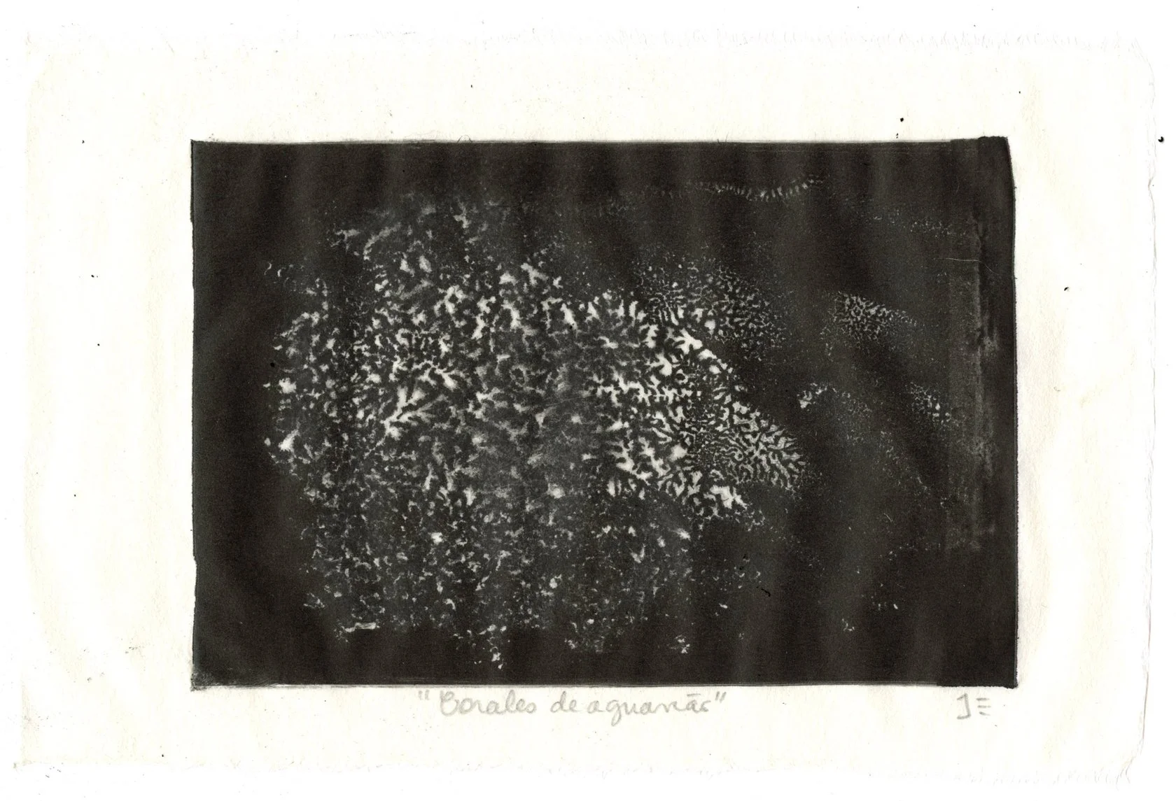11. Corales de aguarrás.jpg