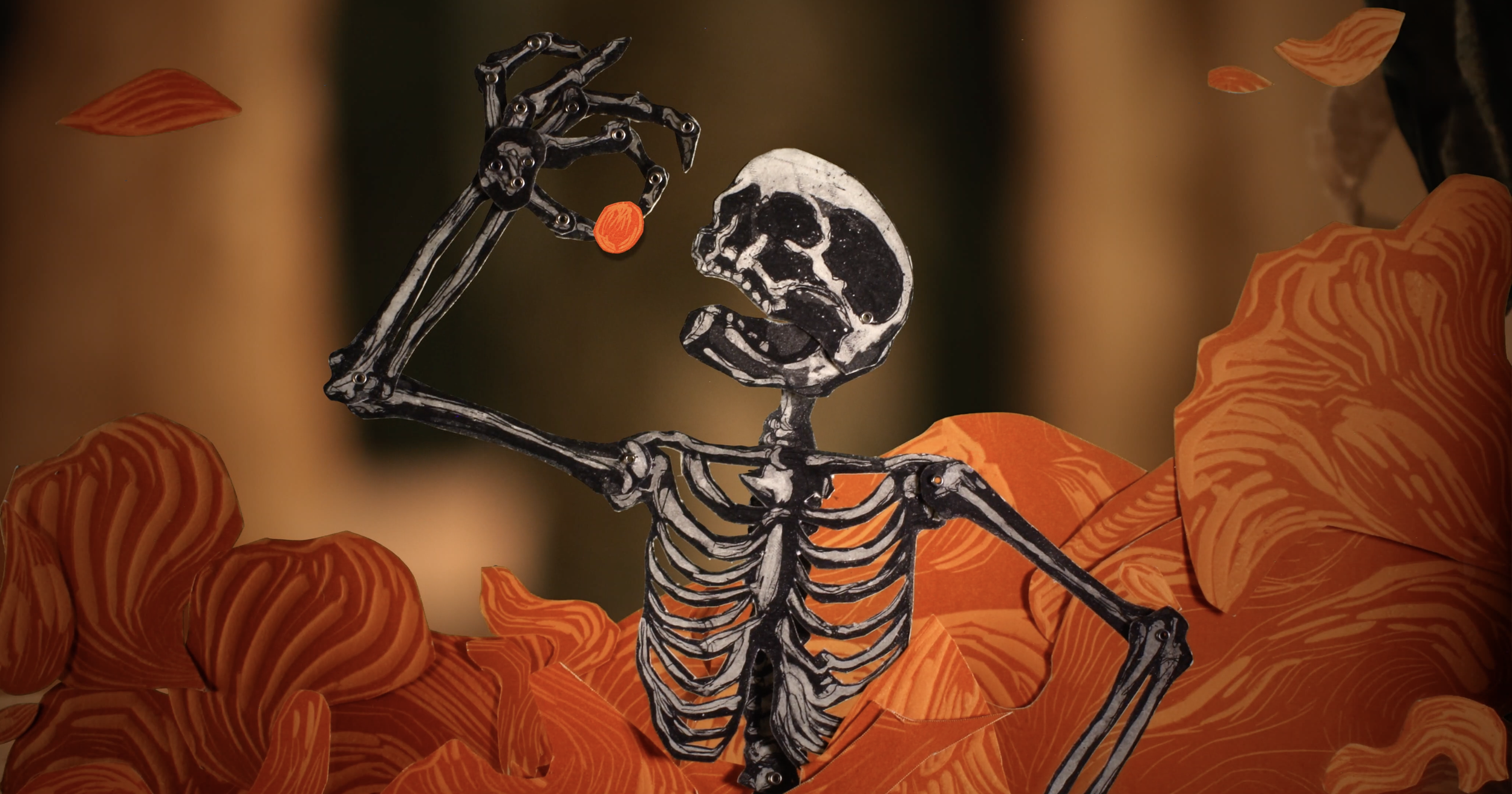 Aquí y Allá (Dir. Amanda Woolrich)