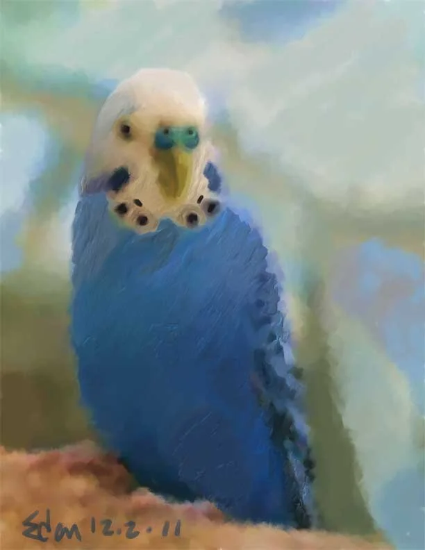 Bird-Brain Revisited