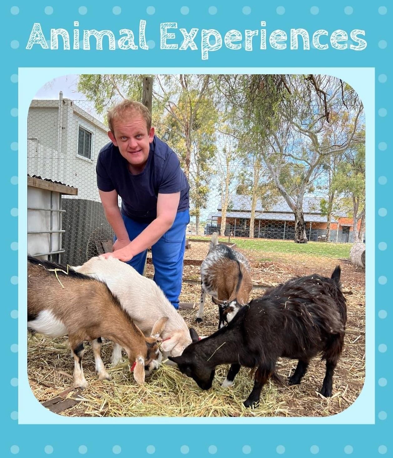 Happy Monday Everyone 🌻

Our participants are looking forward to another fun week at Windamere Park and catching up with their favourite furry animals! 💙

We love being able to provide them with a safe environment where they can get up close and in
