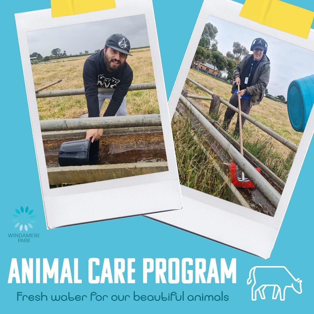 Happy Wednesday Everyone! 🌻

Whilst we are getting very excited for the long weekend this weekend there is still plenty of work to be done in the animal care program this week! 💪

Our participants have been extremely helpful assisting with cleaning