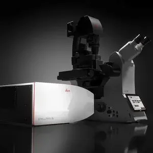 CONFOCAL LASER SCANNING MICROSCOPE