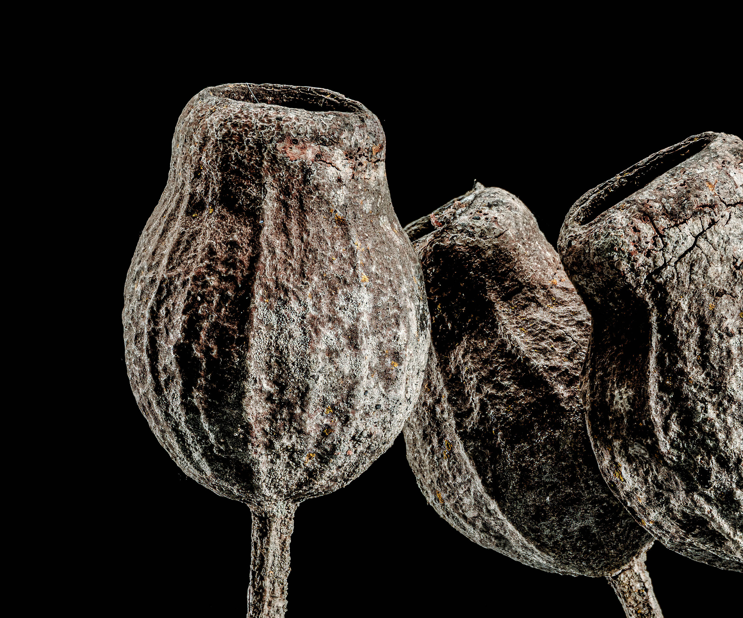 Serbin_210903_001-Edit-3.jpg