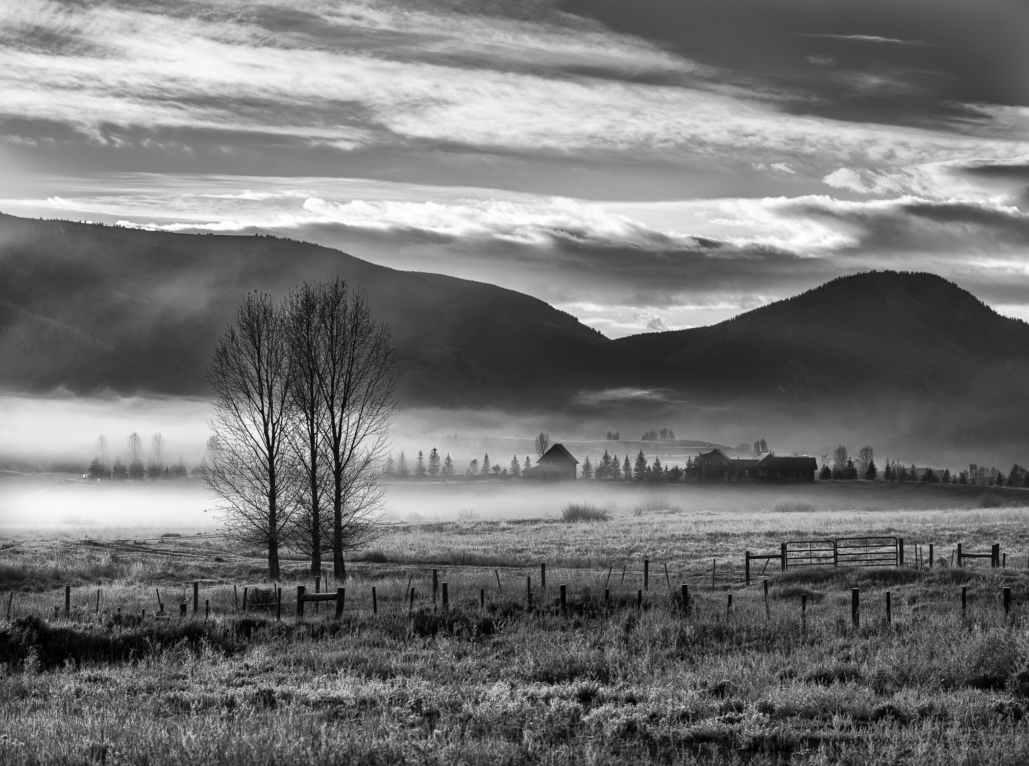 Serbin_241020_007-Edit-2.jpg