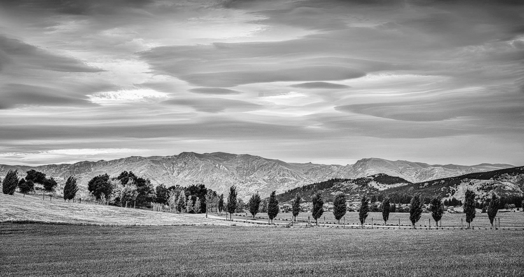 Serbin_240205_182-Edit-Edit-Edit.jpg