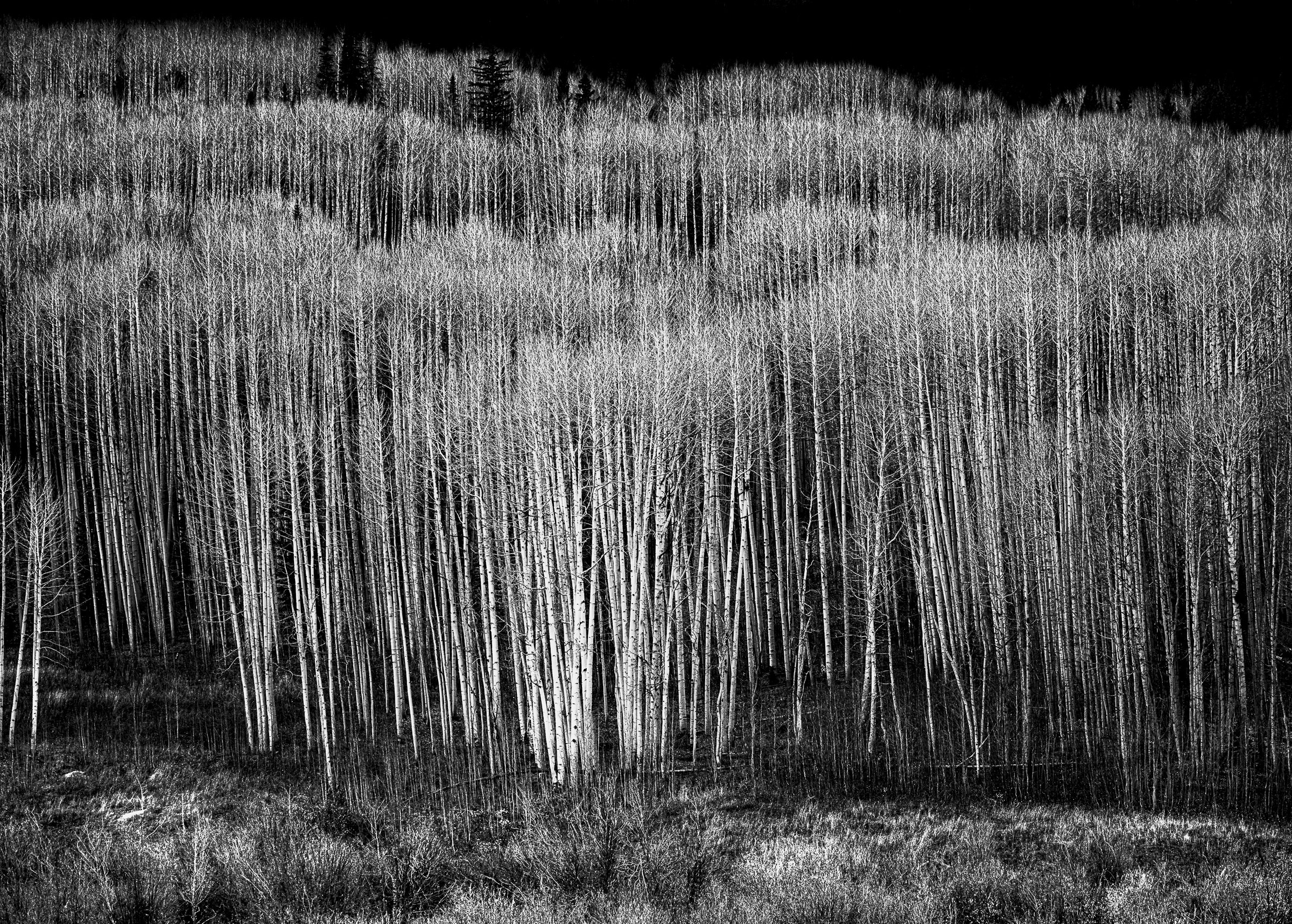 untitled-17.jpg