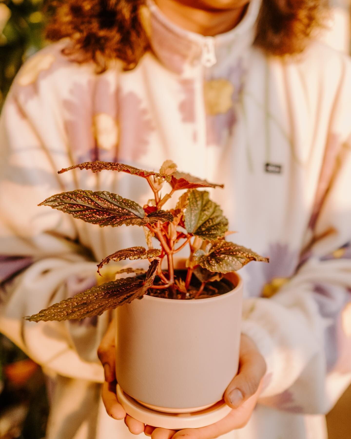 It&rsquo;s time to celebrate all the special moms in your life! 🌸
If you're still on the hunt for the perfect gift, we've got you covered! From gorgeous plants that will last for years to come, to delicious chocolates and coffee goods, we have every