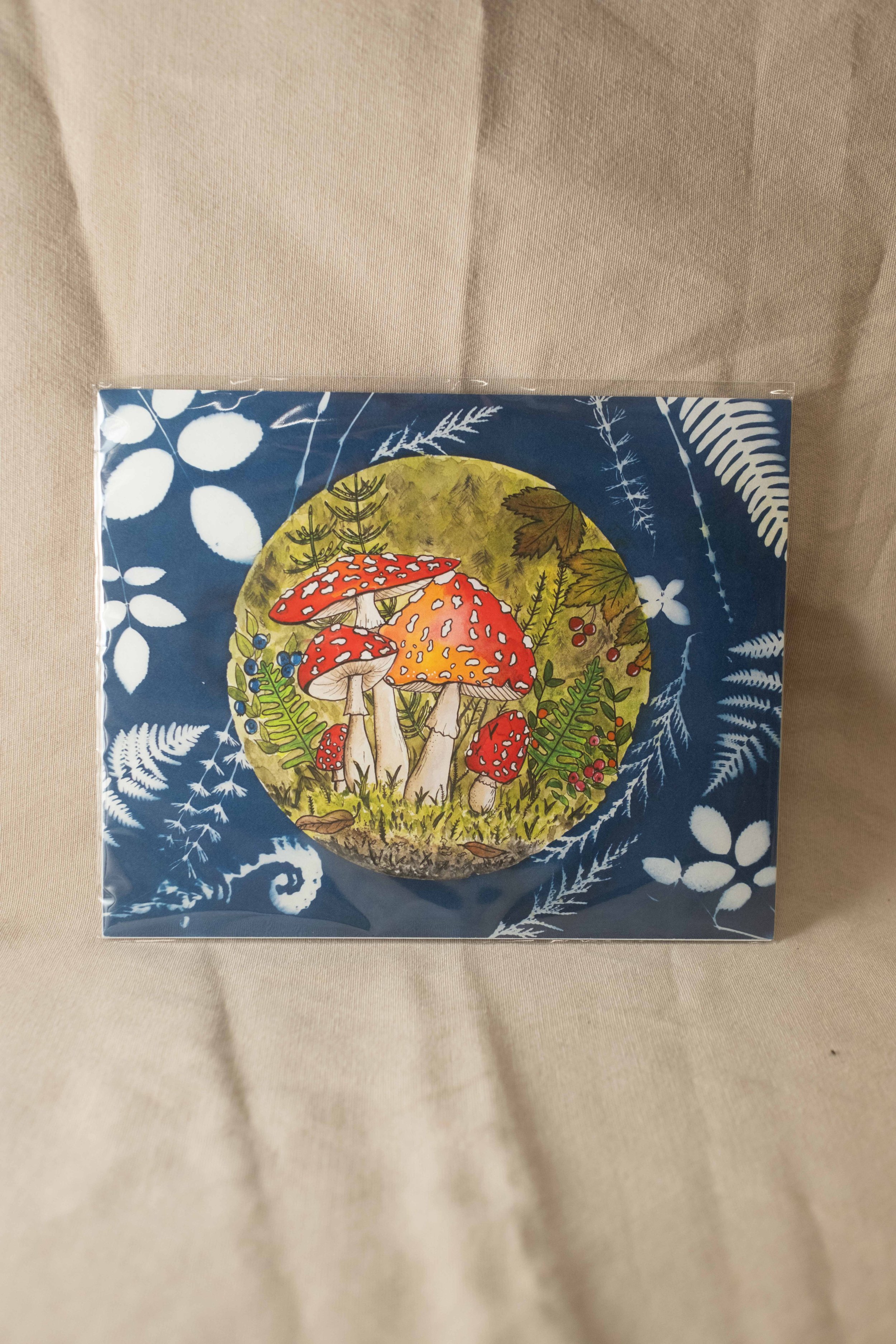 DSCF2720.jpg