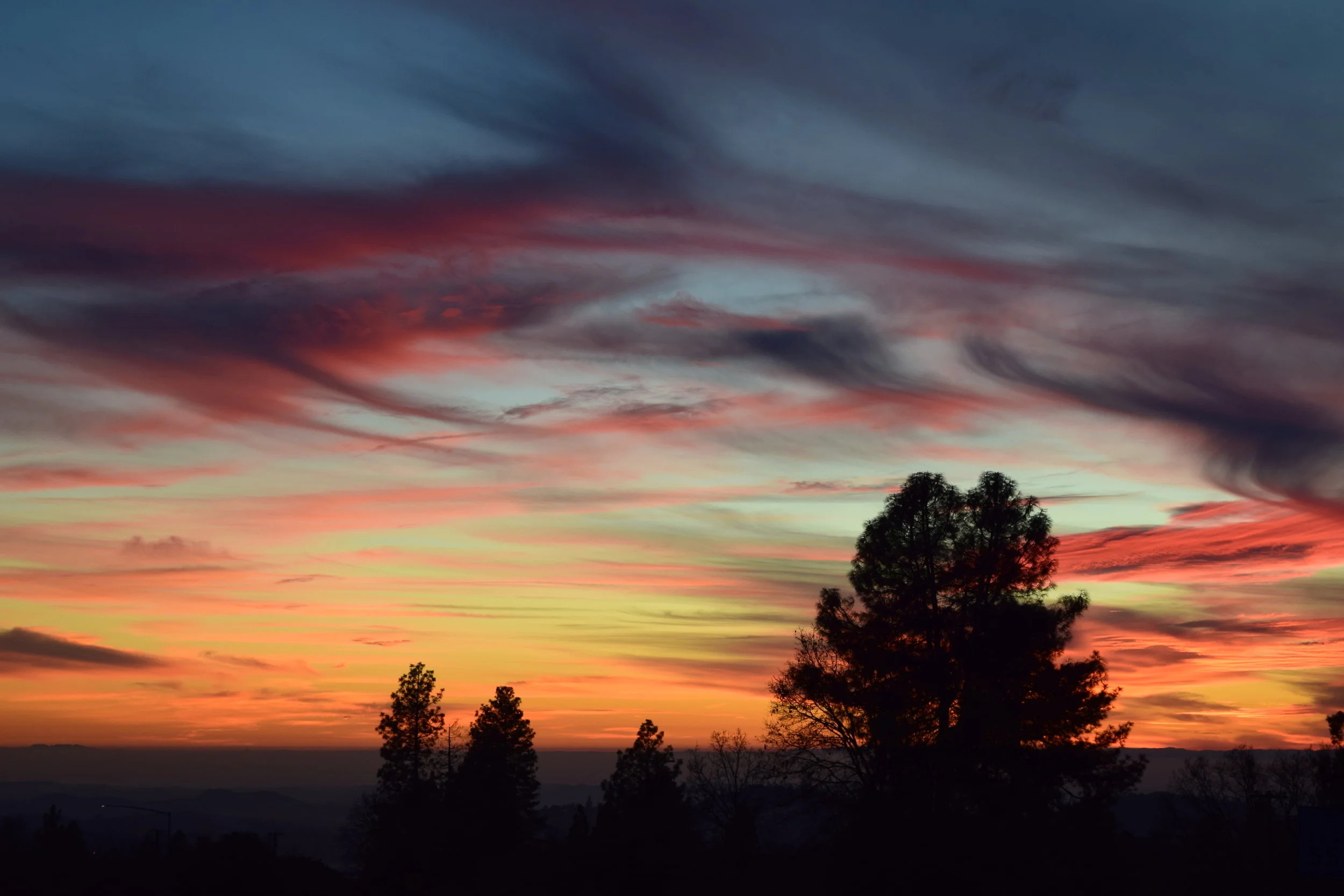 DSC_0620.JPG