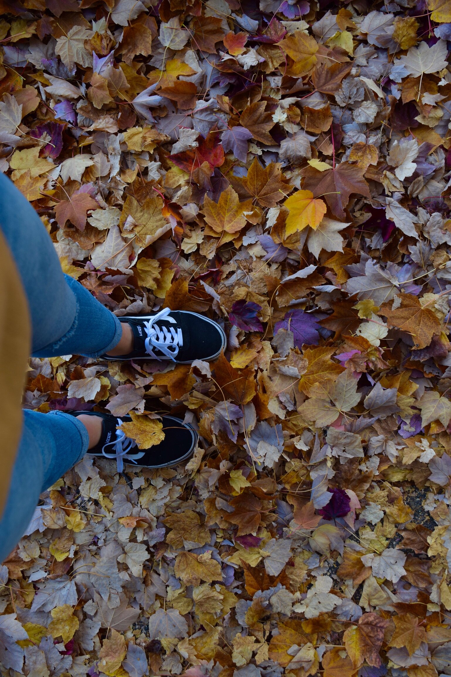 9B90AB27-F3BF-414E-8829-4995C5DB43C5.jpeg