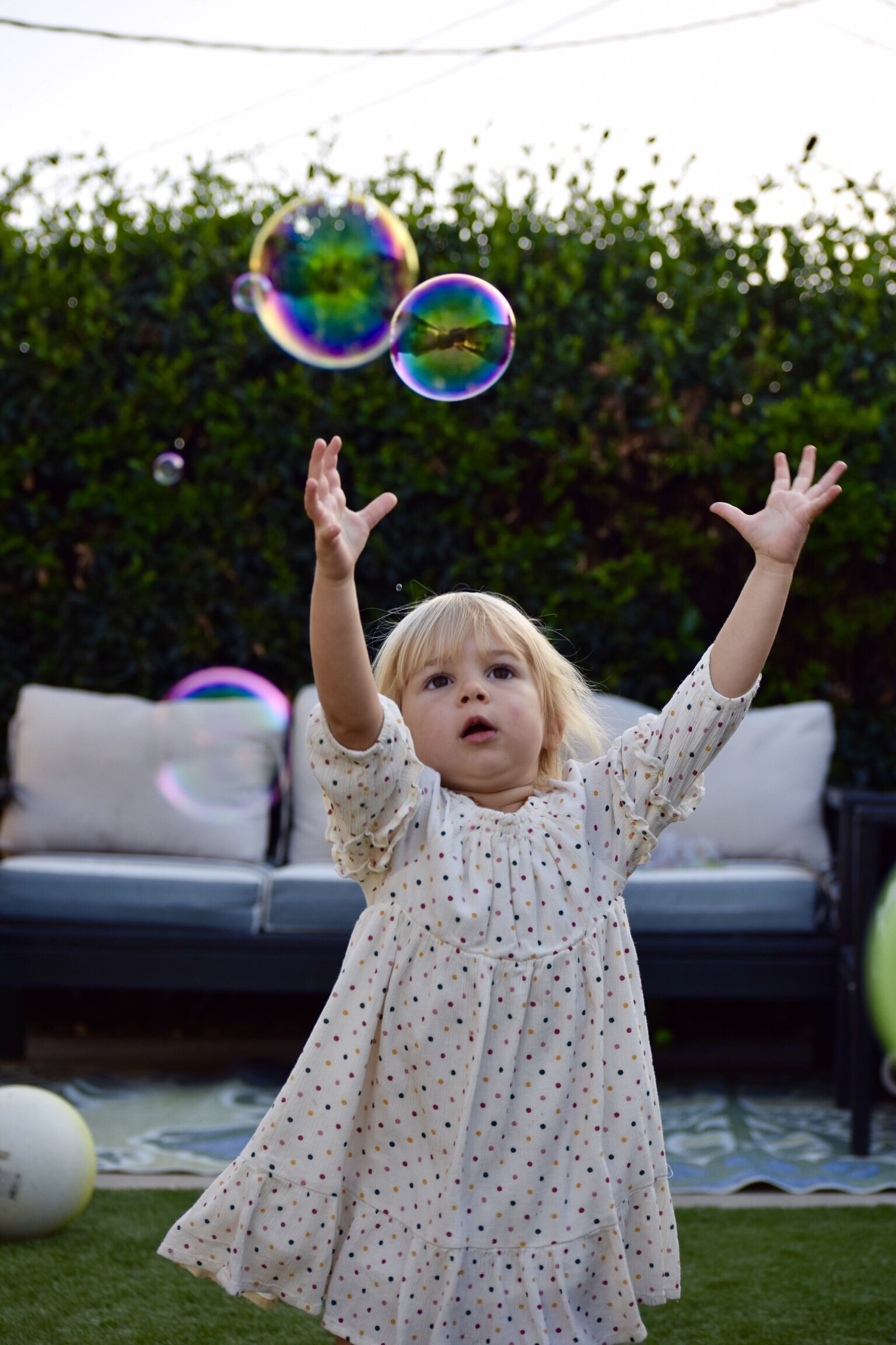 9A3FD837-005B-43F7-96BF-0241AD9E052B_1_201_a.jpeg