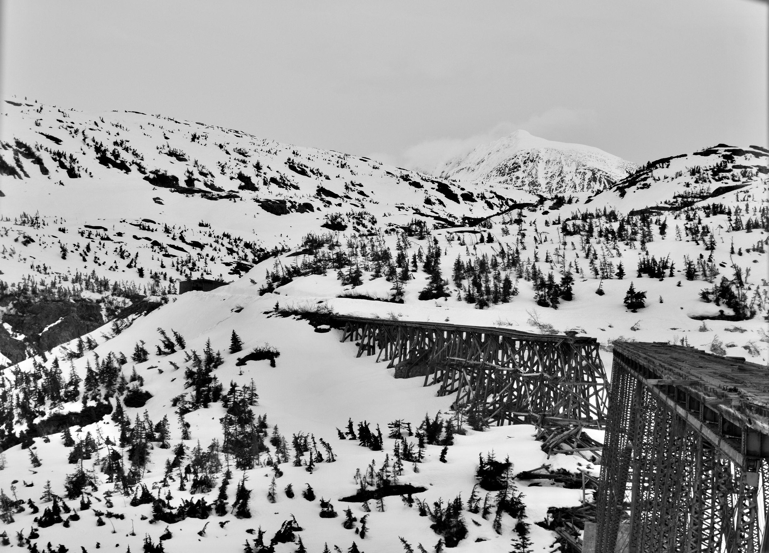 9C89E9D7-C2EC-4C83-A6A4-256990151444_1_201_a.jpeg