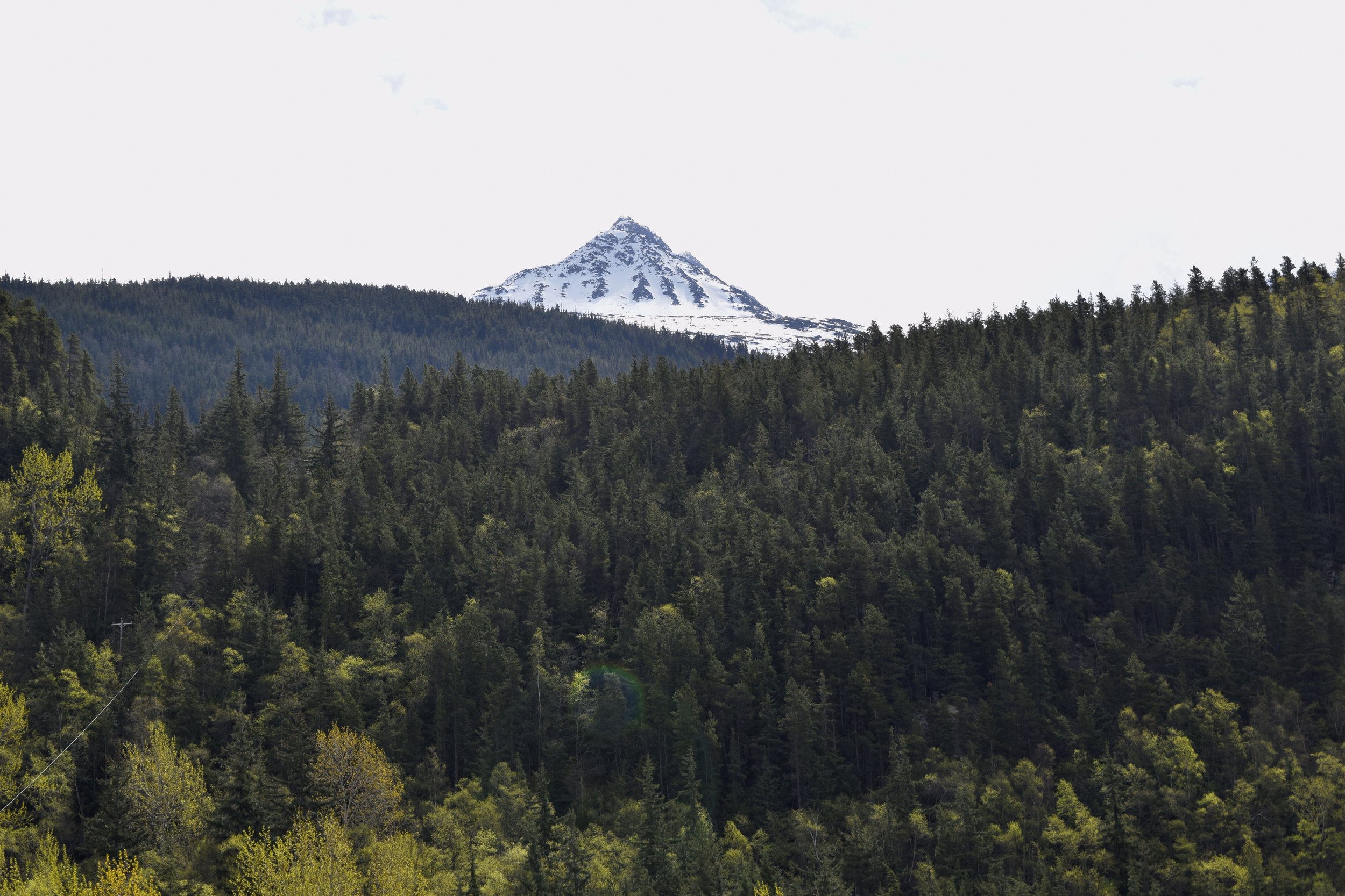 96775F70-2C53-460C-93CF-D54F16947936_1_201_a.jpeg