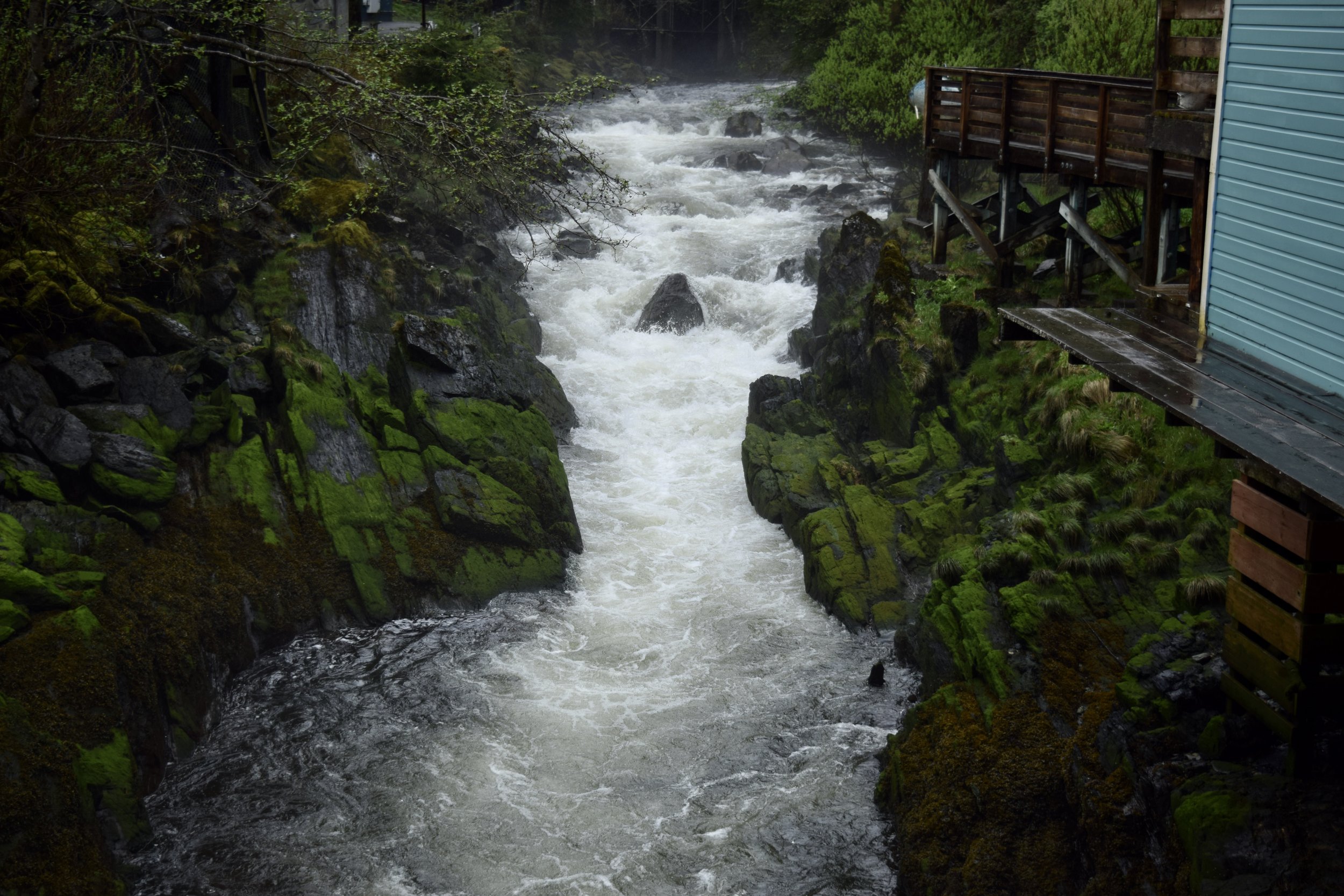 B31017C0-00FE-4C3A-B642-F3961DC5205F_1_201_a.jpeg