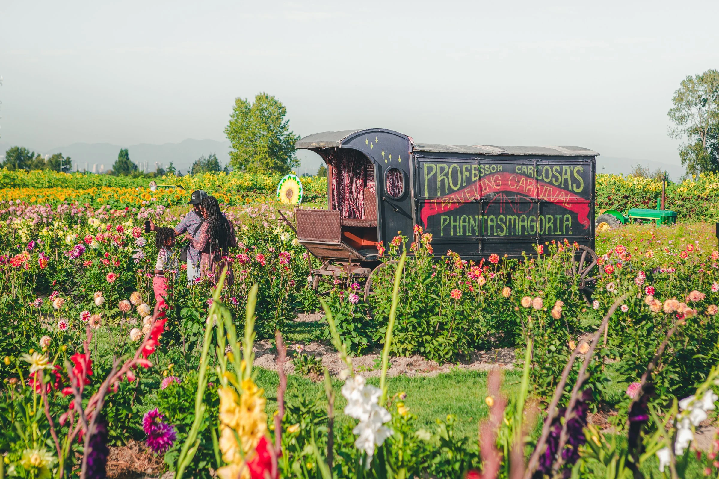 The Richmond Sunflower Festival Returns, Celebrating Peak Bloom in a Sea of Sunflowers