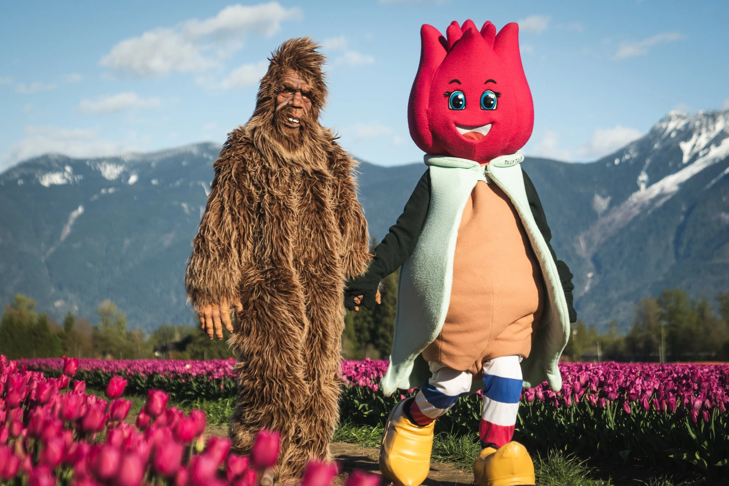 Harrison Tulip Festival Returns with New Experiences, Immersive Photo Moments &amp; Special Events