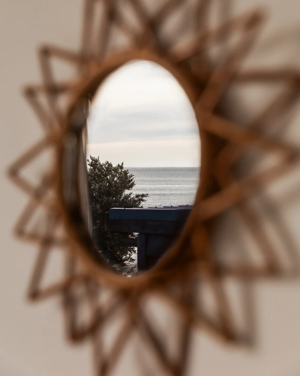 nmp_3785_whalesong_oct24_©natasha mulhall Large.jpeg