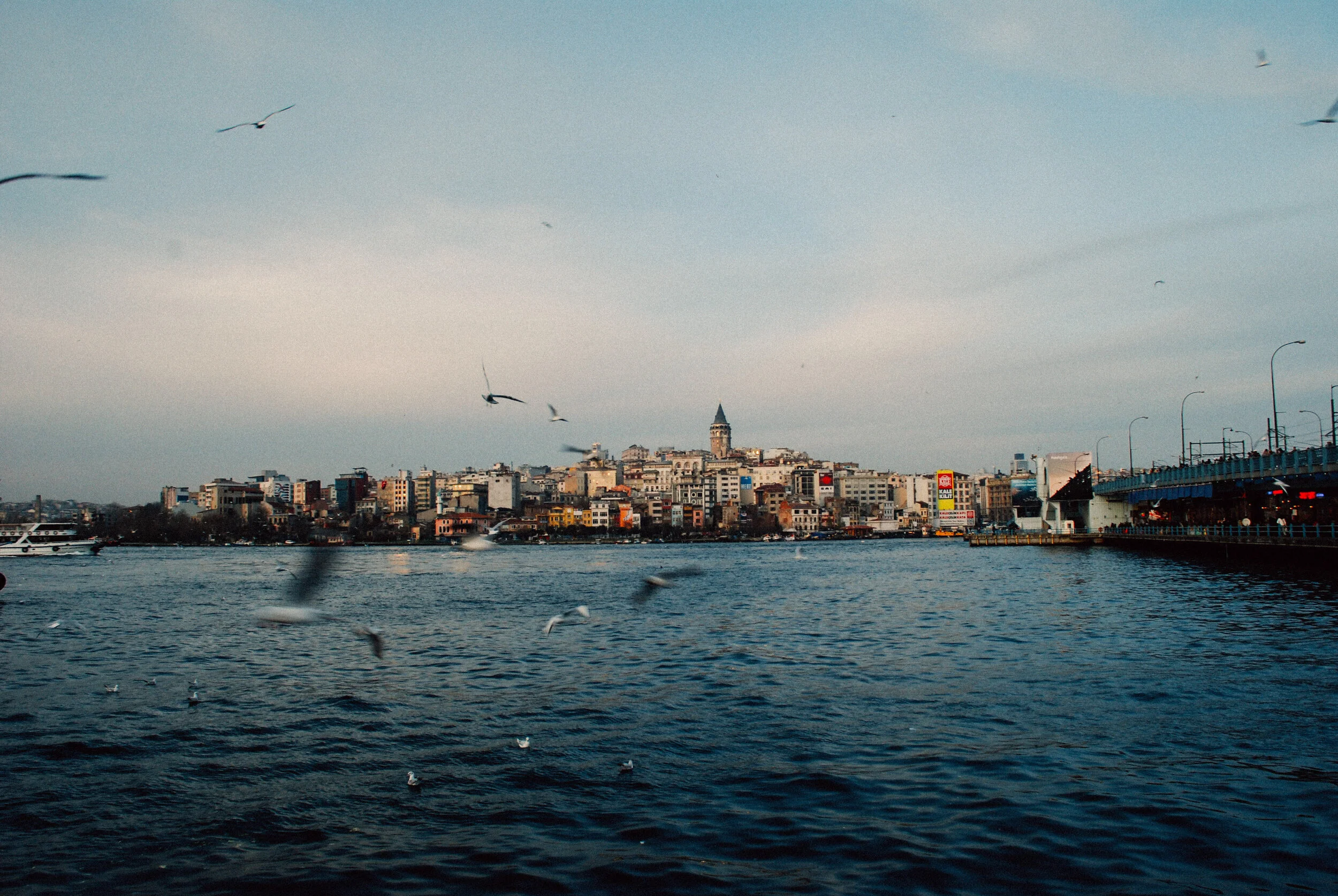DSC_0389-2-2.jpg