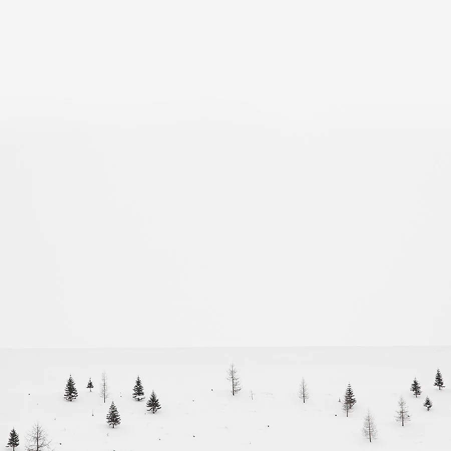 white - nel bianco qualcosa