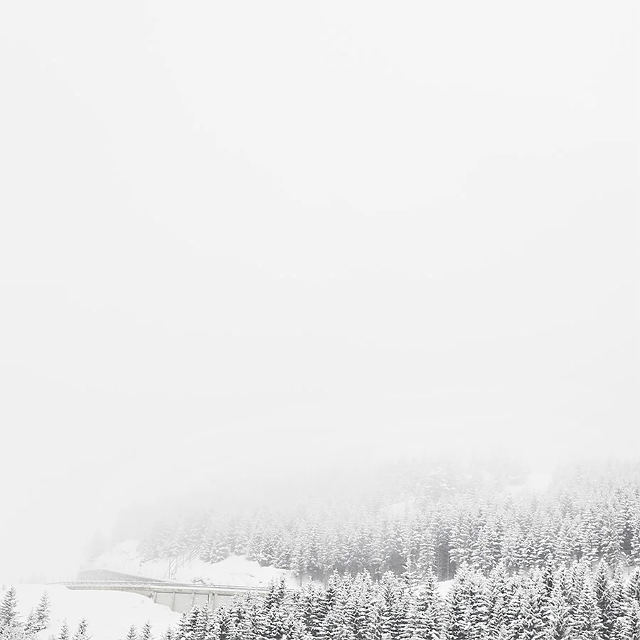 white - nel bianco qualcosa